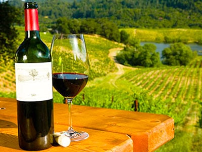 Hunter Valley Wine Tour